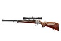 Hunting rifle with scope isolated Royalty Free Stock Photo