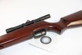 Hunting rifle Royalty Free Stock Photo