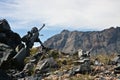 Hunting rifle with a telescopic sight, a bipod while hunting Royalty Free Stock Photo