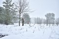 Hunting season, pheasant hunting. Hunters are standing in the forest waiting for the bird Royalty Free Stock Photo