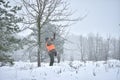 Hunting season, pheasant hunting. Hunters are standing in the forest waiting for the bird Royalty Free Stock Photo