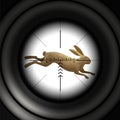 Hunting season. Running hare, wild rabbit. Sniper scope, vector illustration