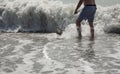 Hunting for shark teeth on Venice beach Florida Royalty Free Stock Photo