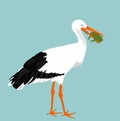 Hunting stork eating frog vector illustration isolated on background. Visitant migration bird stork in a beak holds a frog