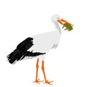 Hunting stork eating frog vector illustration isolated on white background. stork in a beak holds a frog.