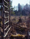 hunting tower vertical stairs