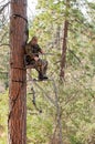 Hunting from a tree stand