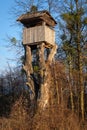 Hunting tree stand on the remains of a big tree Royalty Free Stock Photo