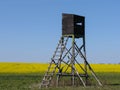 Hunting watchtower in summer