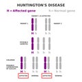 Huntington\'s disease genetics. Autosomal dominant inheritance.