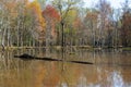 Huntley Meadows Park Wetlands in Spring Royalty Free Stock Photo