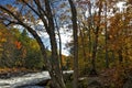Autumn leaf color with the river rapid in a public park Royalty Free Stock Photo