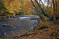 The river rapid in a public park with autumn leaf color Royalty Free Stock Photo