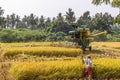 Woman with sickle and John Deere pick thresher, Hunumanahalli, Karnataka, India