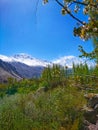 Beautiful Hunza valley landscape, blossom forest and village view with Dubani and Rakaposhi mountain peaks in Pakistan