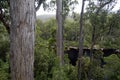 Huon River viewed from Tahune forest airwalk, Tasmania, Australia Royalty Free Stock Photo