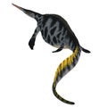 Hupehsuchus Reptile Tail