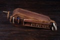 The Hurdy-gurdy, stringed musical instrument