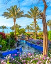 Pictures of a water pool with bridge, garden with flowers and a decorative statues