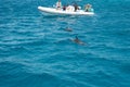 Hurghada, Egypt - August 29, 2021: Cruise boat with an internal combustion engine in the Red Sea. Dinghy excursion tourist