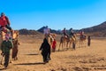 Group of tourists riding camels in Arabian desert, Egypt Royalty Free Stock Photo