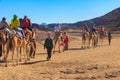 Group of tourists riding camels in Arabian desert, Egypt Royalty Free Stock Photo