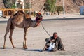 HURGHADA, EGYPT- FEBRUARY 22, 2010: Unidentified smiling camel rider in Egypt