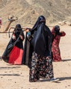 The Bedouin women wearing national dress guide the camels in the desert