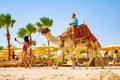 Hurghada, Egypt, 17 october 2018: Young beautiful woman rolls the children on a camel on the beach.