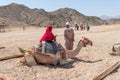 A young Egyptian girl in a colorful dress sits on her camel in Hurghada, Egypt