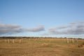 The Hurler\'s Stones on Bodmin Moor, Cornwall in the UK