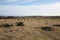 The Hurler\'s Stones on Bodmin Moor, Cornwall in the UK Royalty Free Stock Photo