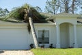 Hurricane damage to a house roof in Florida. Fallen down big tree after tropical storm winds. Consequences of natural Royalty Free Stock Photo