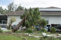 Hurricane damage to palm tree on Florida house backyard. Fallen down tree after tropical storm winds. Consequences of Royalty Free Stock Photo