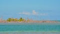 A hurricane destroyed the mangroves on this small island. It is near Bahia Honda Key in Monroe County, Florida