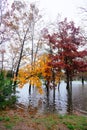 Hurricane flood and wind damage Royalty Free Stock Photo