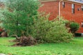 Hurricane flood and wind damage Royalty Free Stock Photo