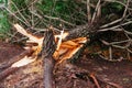 Hurricane flood and wind damage Royalty Free Stock Photo