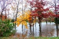 Hurricane flood and wind damage Royalty Free Stock Photo