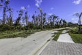 Hurricane Idalia Storm Damage Debris Royalty Free Stock Photo