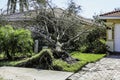 Hurricane Idalia Storm Damage Debris Royalty Free Stock Photo