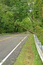 Hurricane Irene aftermath in the Philadelphia area Royalty Free Stock Photo