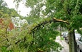 Hurricane Irene aftermath in the Philadelphia area Royalty Free Stock Photo