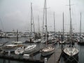 Hurricane Irene Boats Moored in Boston Harbor Royalty Free Stock Photo