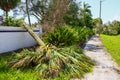 Hurricane Irma Damage Royalty Free Stock Photo