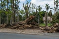 Hurricane Maria Damage in Puerto Rico Royalty Free Stock Photo