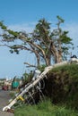 Hurricane Maria Damage in Puerto Rico Royalty Free Stock Photo