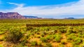 The Hurricane Mesa, a flat mountain mesa near Hurricane in Utah, USA