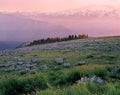 Hurricane Ridge Royalty Free Stock Photo