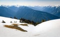 Hurricane Ridge, Olympic National Park Royalty Free Stock Photo